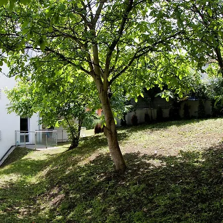 Apartament Mysliwska Lejlighed